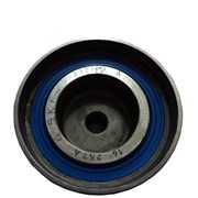 VKM 22173